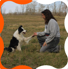 Mystik est assis et il donne la patte à M&Educ